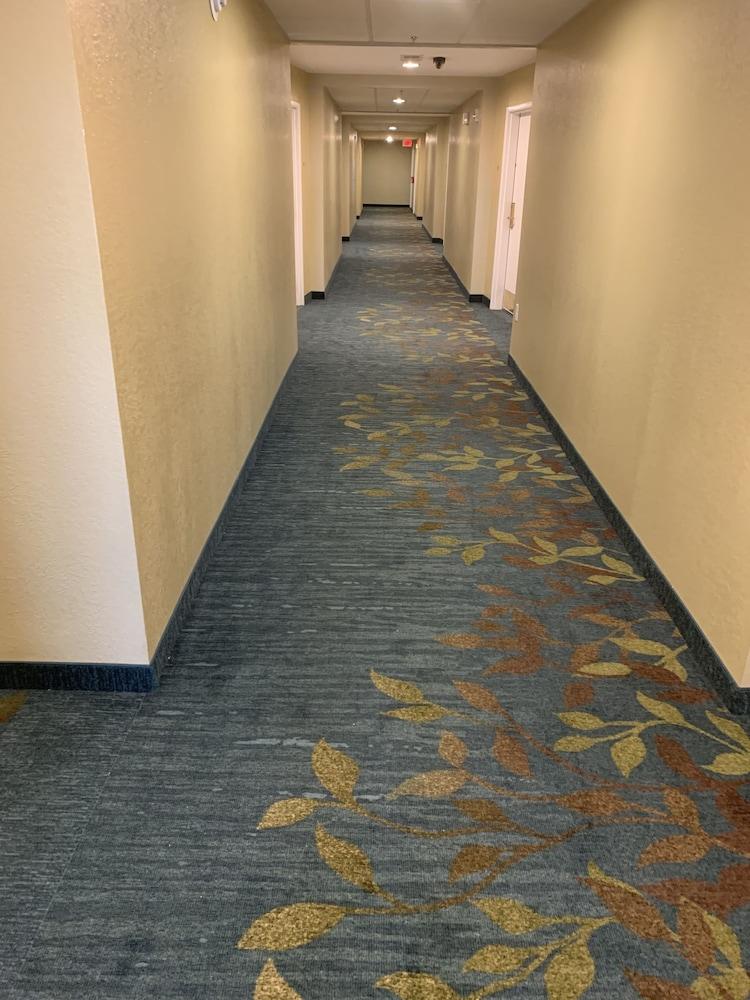阿灵顿大草原城坎德尔伍德套房酒店 外观 照片
